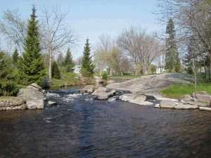 Stewart Park.